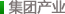 集团产业