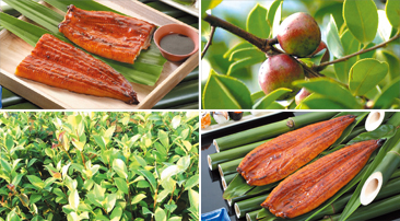 Agriculture,Forestry, Aquaculture Industry