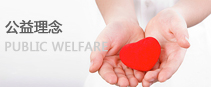Public Philosophy